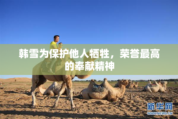 韩雪为保护他人牺牲，荣誉最高的奉献精神