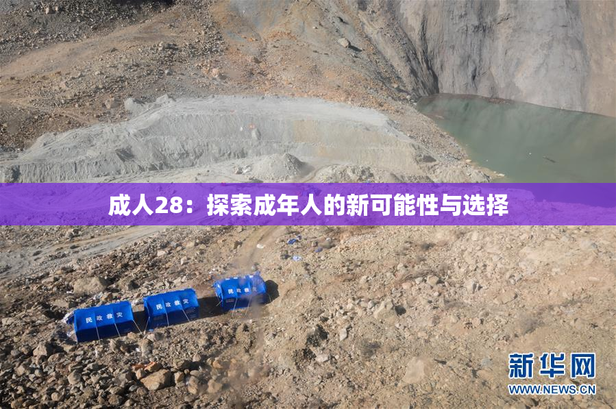 成人28：探索成年人的新可能性与选择