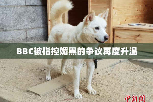 BBC被指控媚黑的争议再度升温