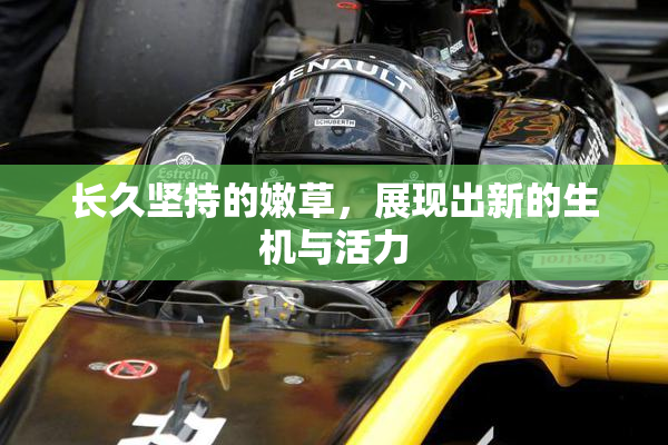 长久坚持的嫩草，展现出新的生机与活力