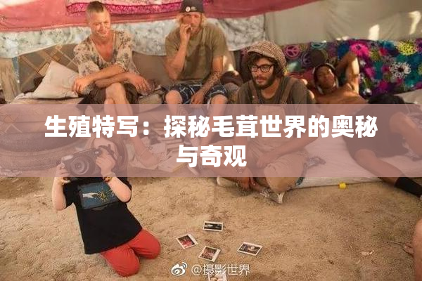 生殖特写：探秘毛茸世界的奥秘与奇观