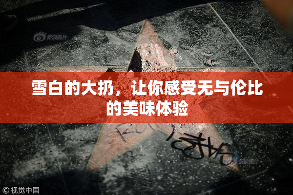 雪白的大扔，让你感受无与伦比的美味体验