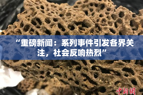 “重磅新闻：系列事件引发各界关注，社会反响热烈”