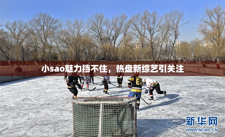 小sao魅力挡不住，热盘新综艺引关注