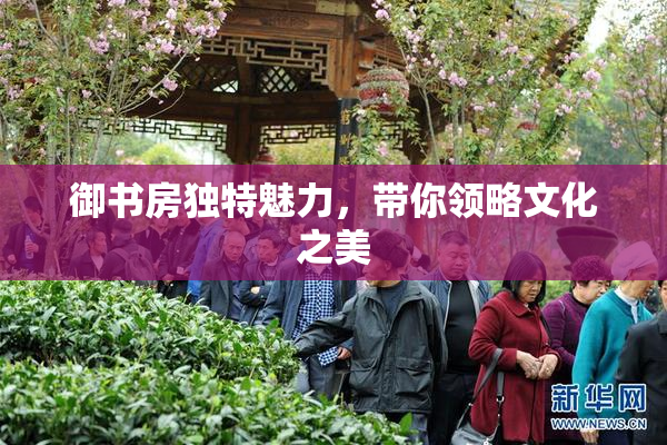 御书房独特魅力，带你领略文化之美
