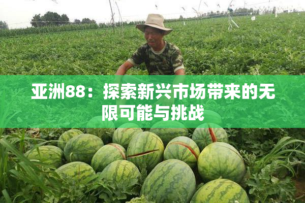 亚洲88：探索新兴市场带来的无限可能与挑战