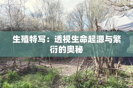 生殖特写：透视生命起源与繁衍的奥秘