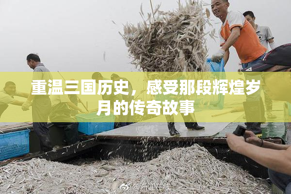 重温三国历史，感受那段辉煌岁月的传奇故事