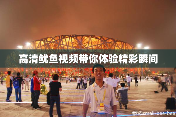 高清鱿鱼视频带你体验精彩瞬间