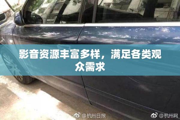 影音资源丰富多样，满足各类观众需求