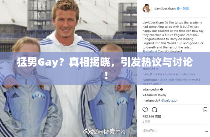 猛男Gay？真相揭晓，引发热议与讨论！