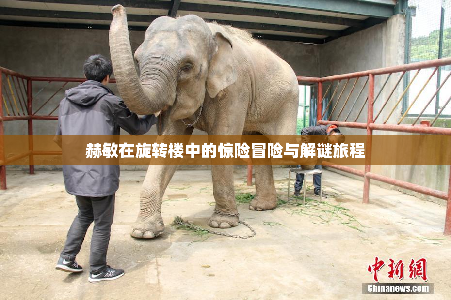 赫敏在旋转楼中的惊险冒险与解谜旅程