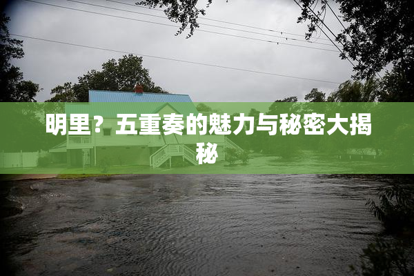明里？五重奏的魅力与秘密大揭秘
