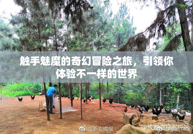 触手魅魔的奇幻冒险之旅，引领你体验不一样的世界