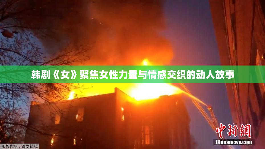 韩剧《女》聚焦女性力量与情感交织的动人故事