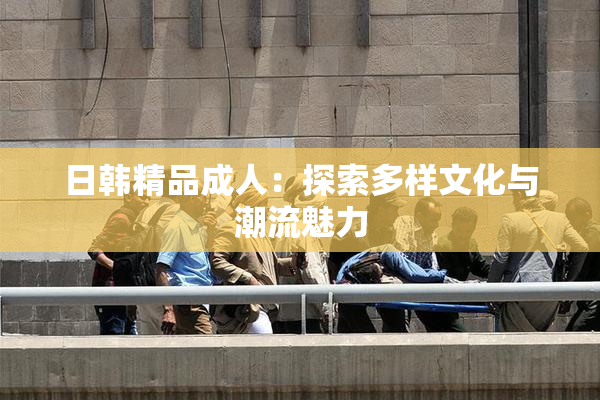 日韩精品成人：探索多样文化与潮流魅力