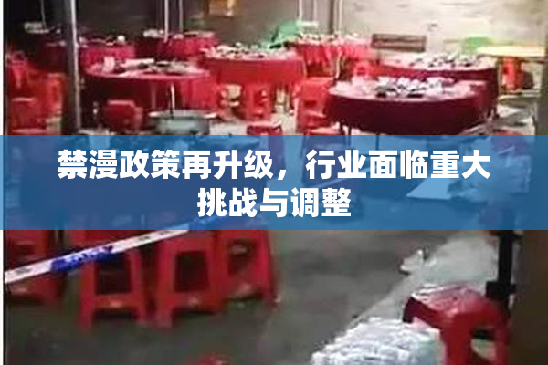 禁漫政策再升级，行业面临重大挑战与调整