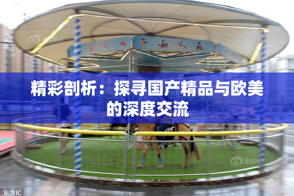 精彩剖析：探寻国产精品与欧美的深度交流