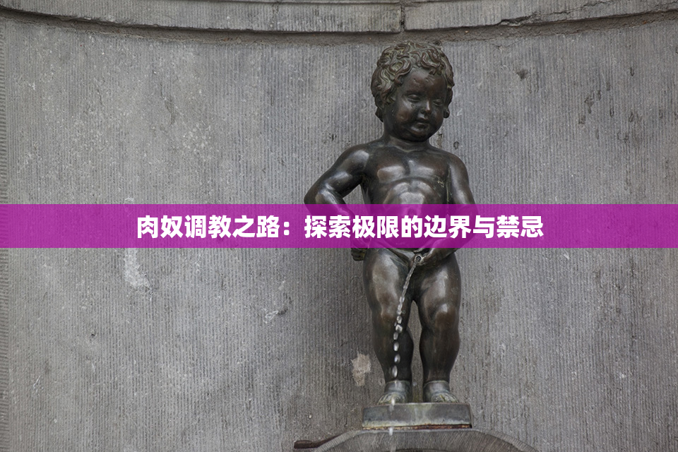 肉奴调教之路：探索极限的边界与禁忌