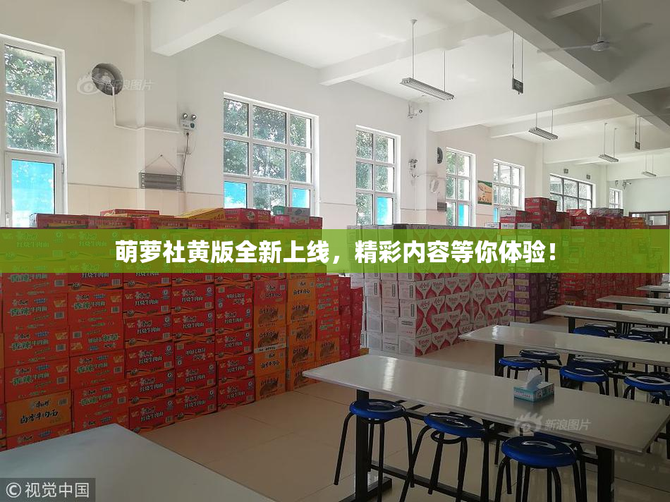 萌萝社黄版全新上线，精彩内容等你体验！