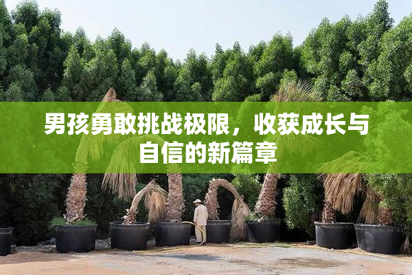 男孩勇敢挑战极限，收获成长与自信的新篇章