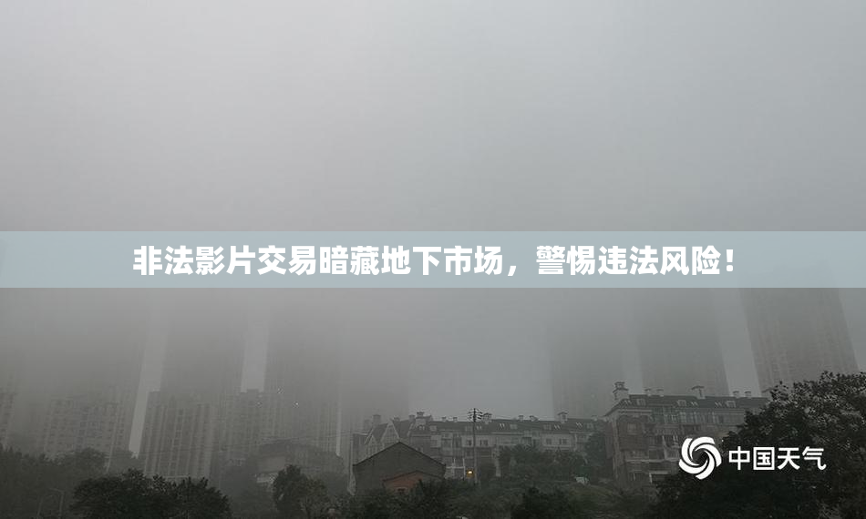 非法影片交易暗藏地下市场，警惕违法风险！