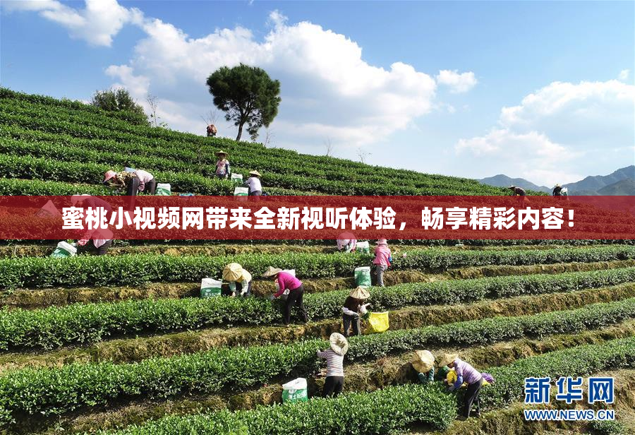 蜜桃小视频网带来全新视听体验，畅享精彩内容！