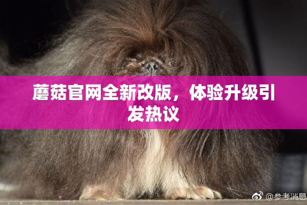 蘑菇官网全新改版，体验升级引发热议