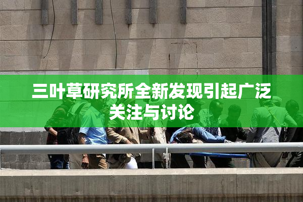 三叶草研究所全新发现引起广泛关注与讨论