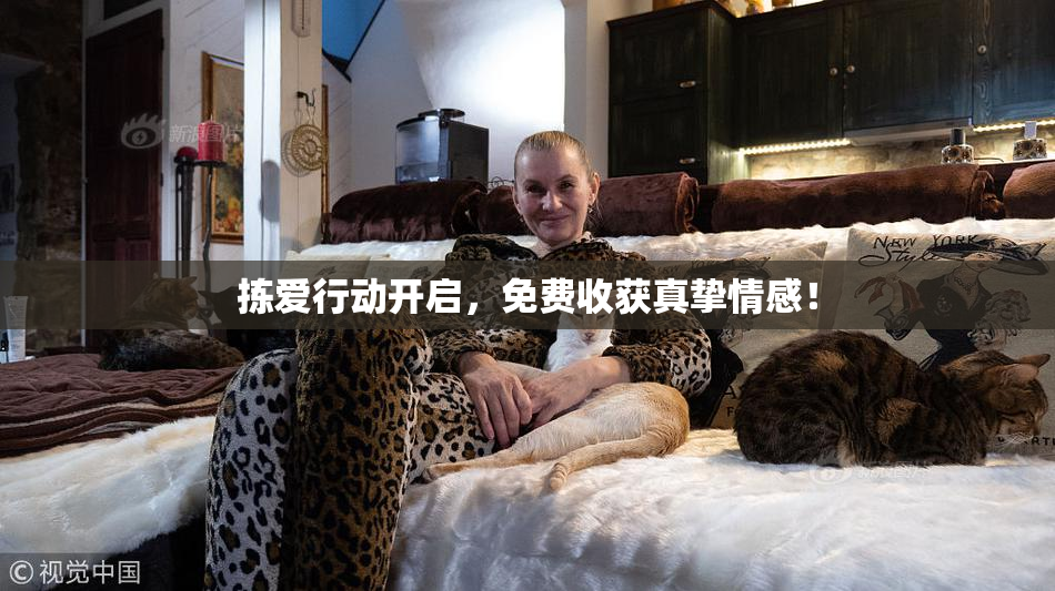 拣爱行动开启，免费收获真挚情感！