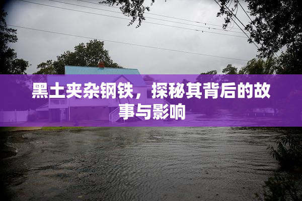 黑土夹杂钢铁，探秘其背后的故事与影响