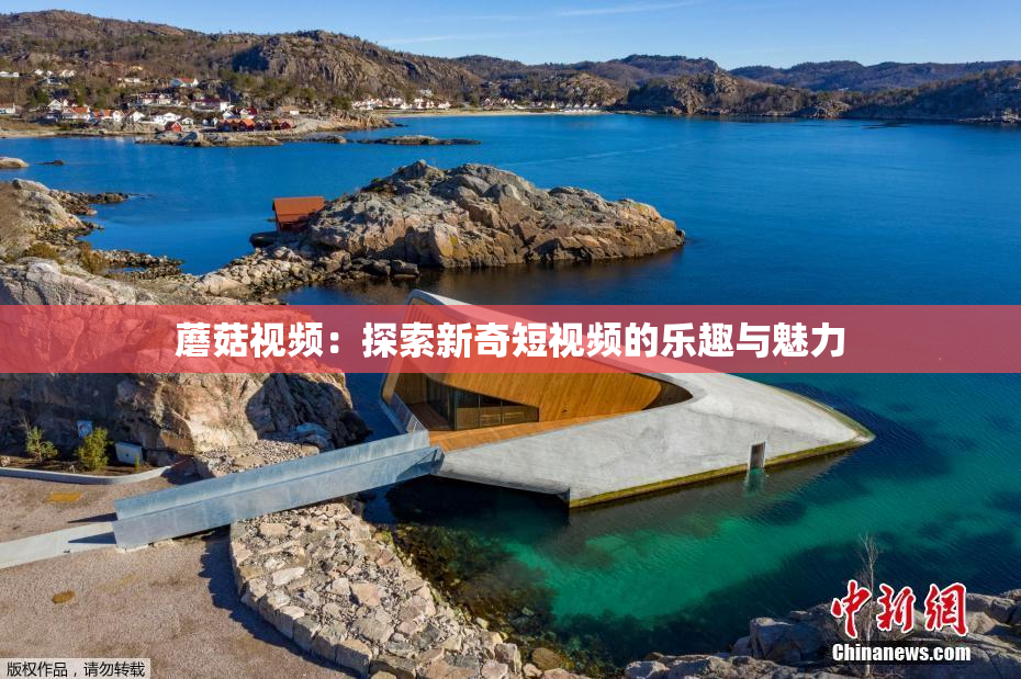 蘑菇视频：探索新奇短视频的乐趣与魅力