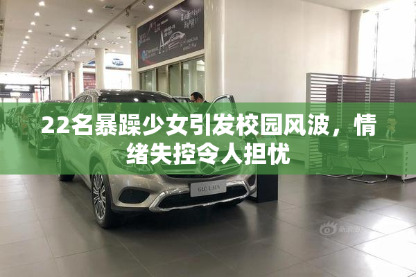 22名暴躁少女引发校园风波，情绪失控令人担忧