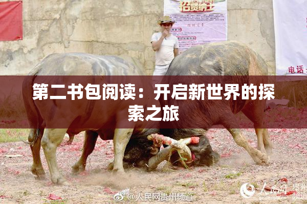 第二书包阅读：开启新世界的探索之旅