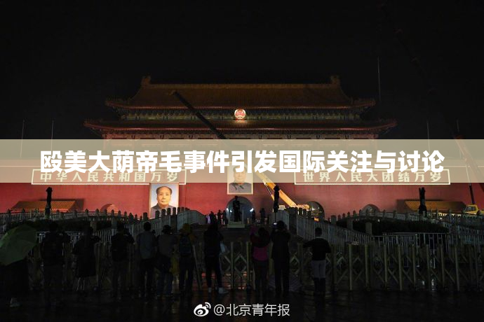 殴美大荫帝毛事件引发国际关注与讨论