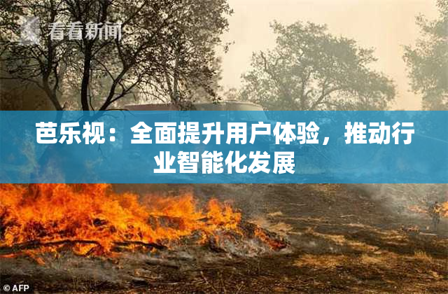芭乐视：全面提升用户体验，推动行业智能化发展
