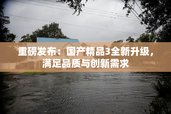 重磅发布：国产精品3全新升级，满足品质与创新需求