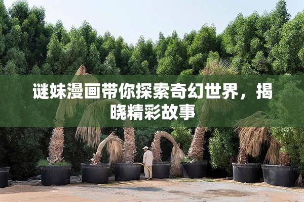 谜妹漫画带你探索奇幻世界，揭晓精彩故事