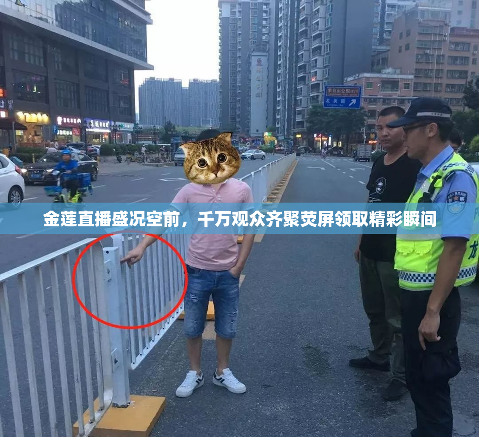 金莲直播盛况空前，千万观众齐聚荧屏领取精彩瞬间
