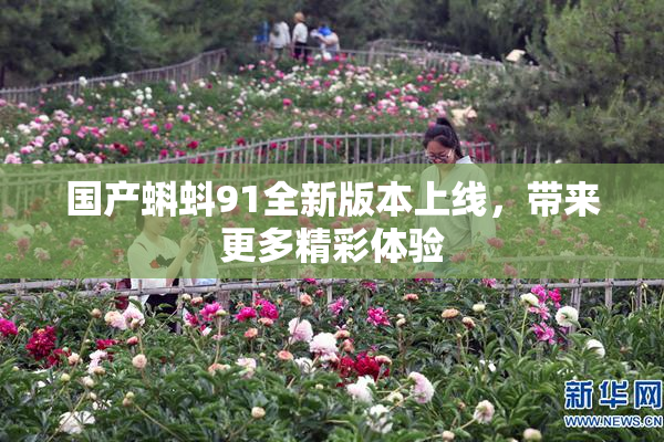国产蝌蚪91全新版本上线，带来更多精彩体验
