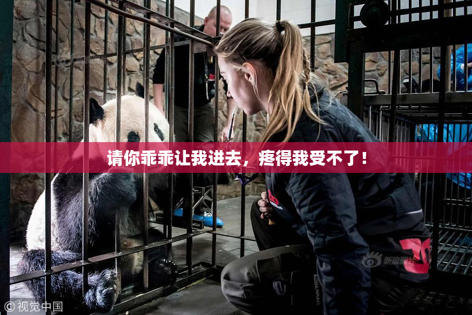 请你乖乖让我进去，疼得我受不了！