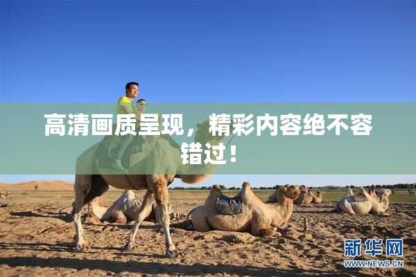 高清画质呈现，精彩内容绝不容错过！