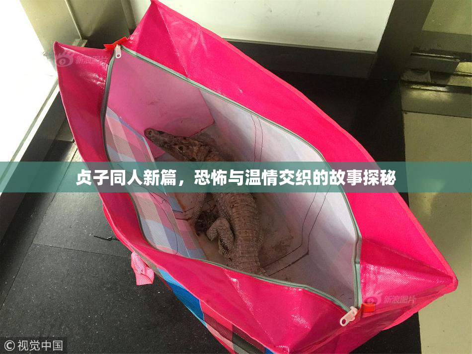贞子同人新篇，恐怖与温情交织的故事探秘