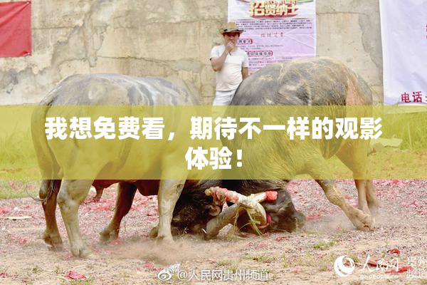 我想免费看，期待不一样的观影体验！