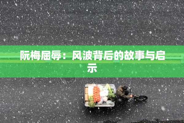 阮梅屈辱：风波背后的故事与启示