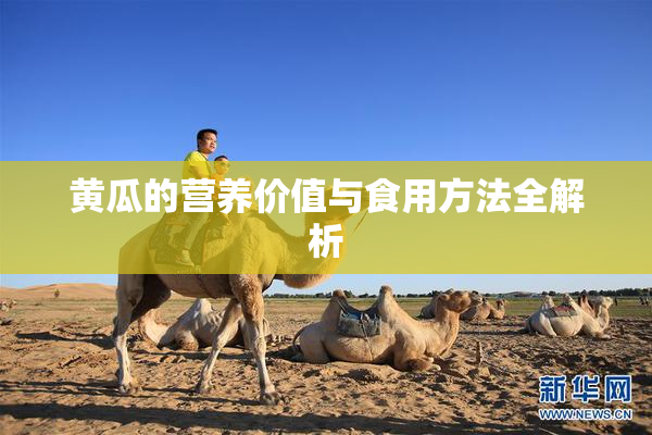 黄瓜的营养价值与食用方法全解析