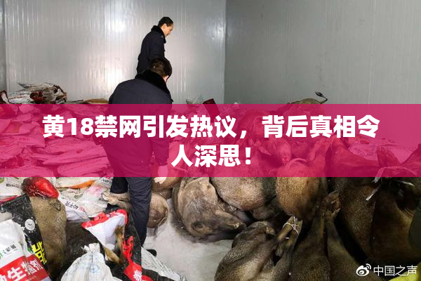 黄18禁网引发热议，背后真相令人深思！