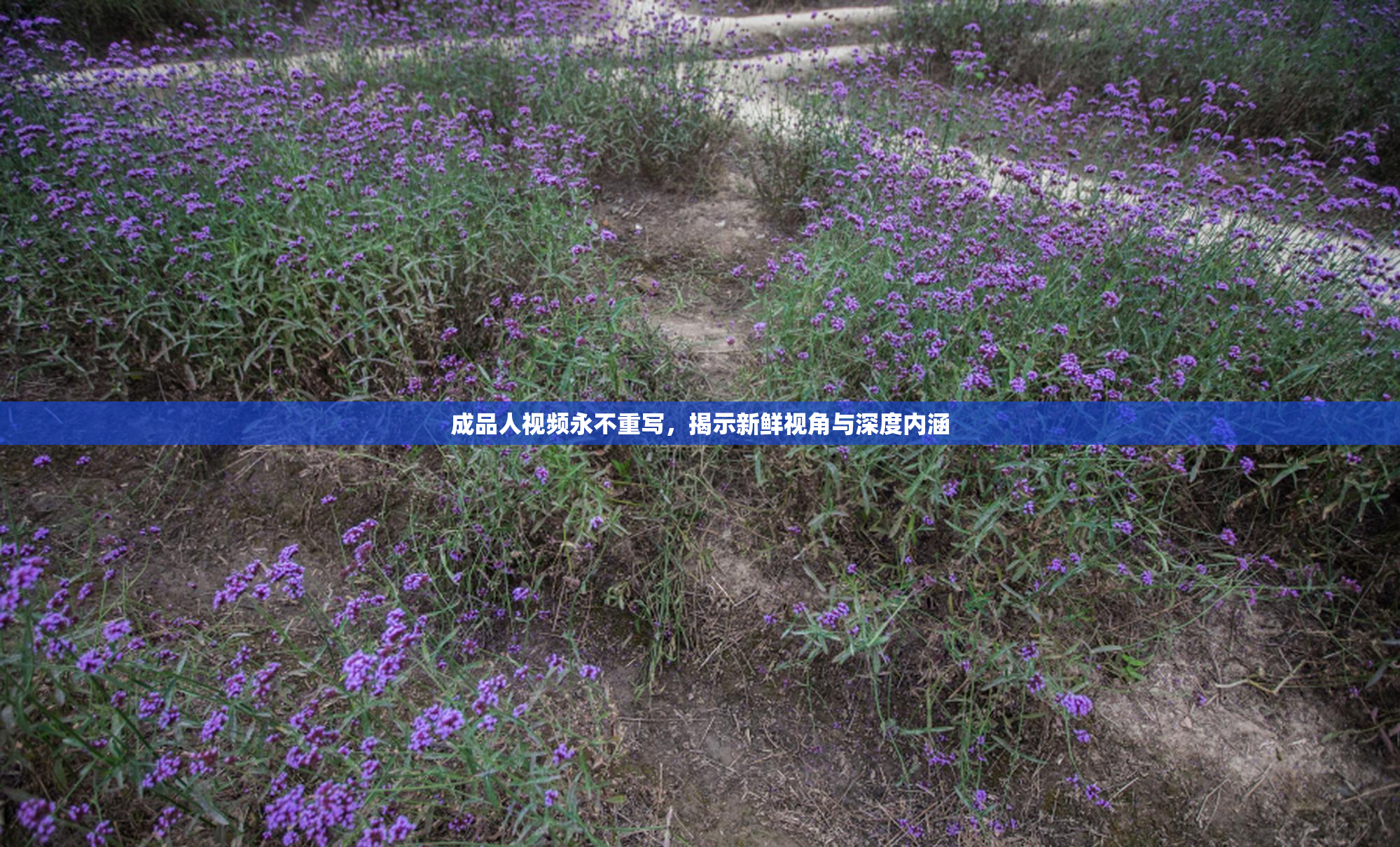 成品人视频永不重写，揭示新鲜视角与深度内涵