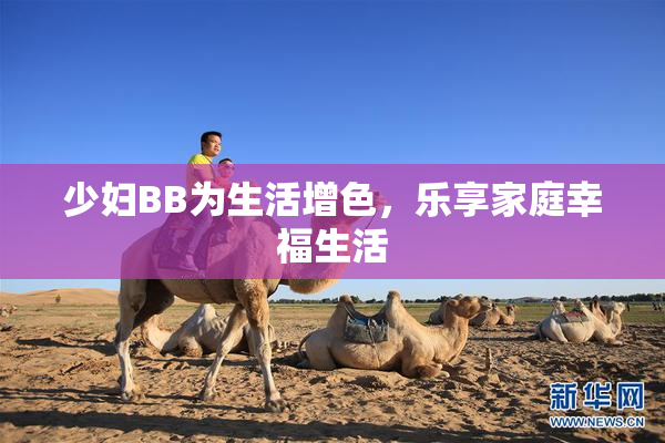 少妇BB为生活增色，乐享家庭幸福生活