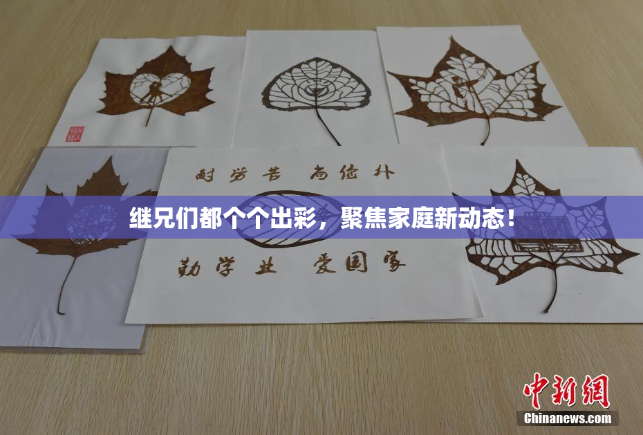 继兄们都个个出彩，聚焦家庭新动态！